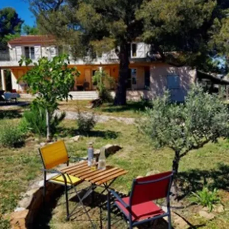House With A Large 4000 M Private Park Vakantiehuis