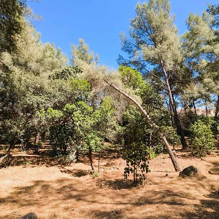 House With A Large 4000 M Private Park Vakantiehuis